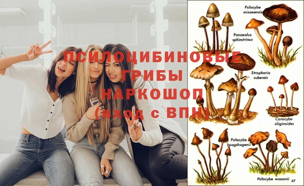 дживик Алексеевка