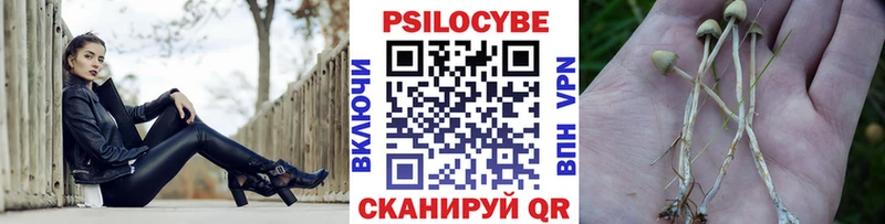 Галлюциногенные грибы Psilocybine cubensis  Солигалич 
